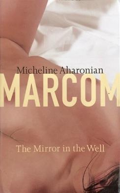 The Mirror in the Well